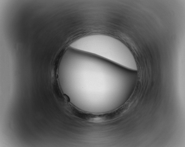 X0000100230312200805300730