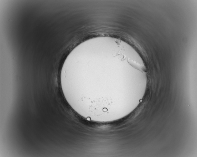 X0000100230313200805300730