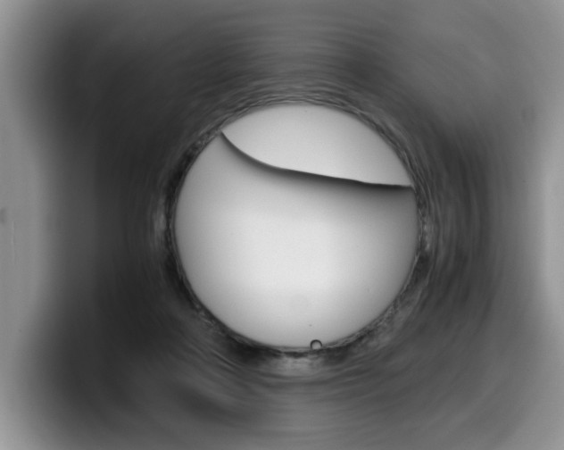 X0000100230314200805300730