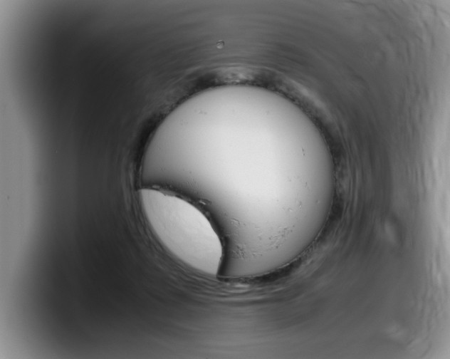X0000100230315200805300730
