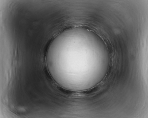 X0000100230316200805300730