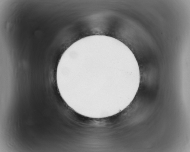 X0000100230317200805300730