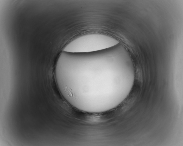 X0000100230318200805300730