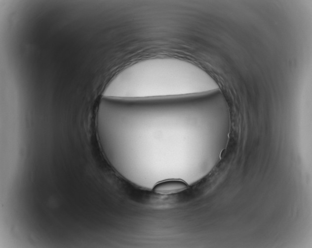 X0000100230319200805300730