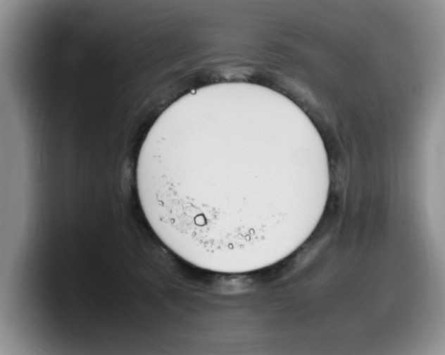 X0000100230321200805300730