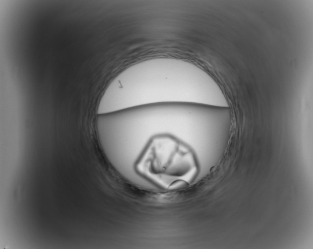 X0000100230323200805300729