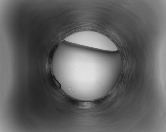 X0000100230324200805300729