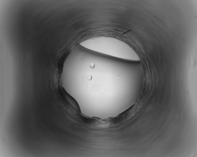 X0000100230328200805300729