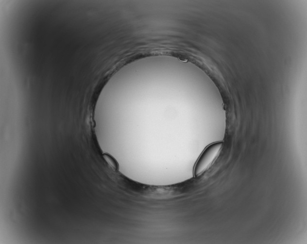 X0000100230329200805300729