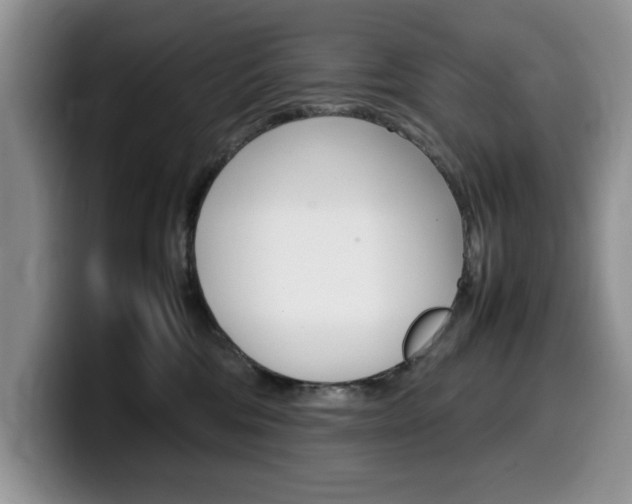 X0000100230330200805300729
