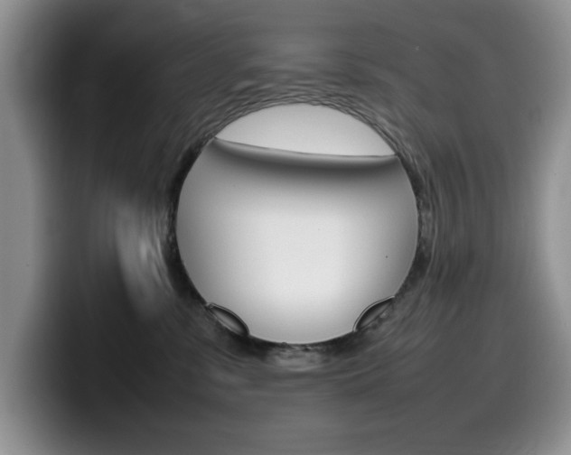 X0000100230331200805300729