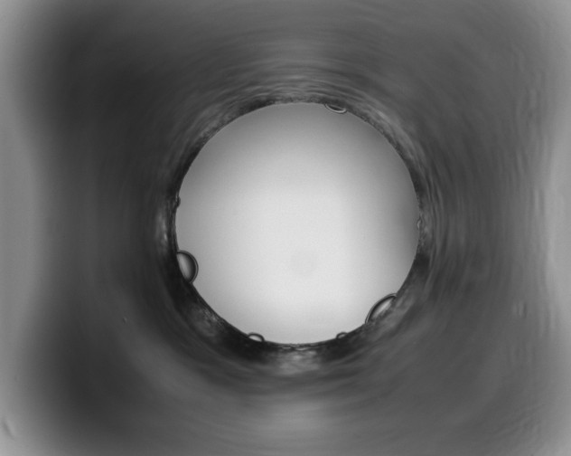 X0000100230333200805300729