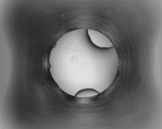 X0000100230334200805300729