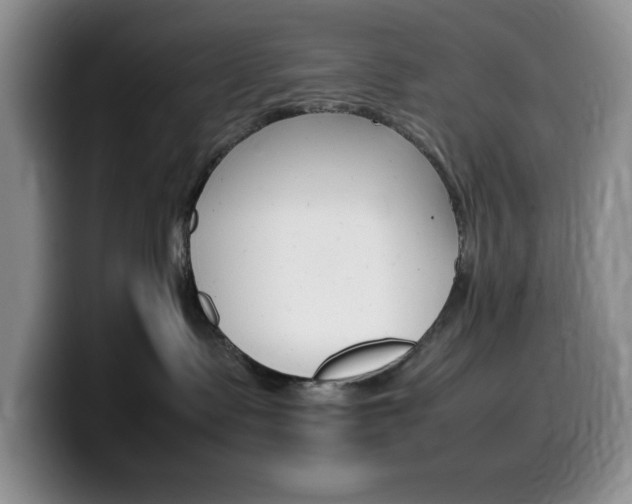X0000100230335200805300729