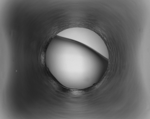 X0000100230336200805300729