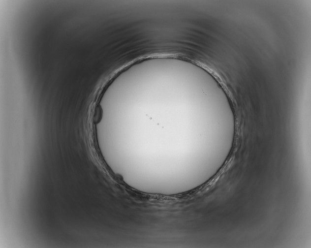 X0000100230337200805300729