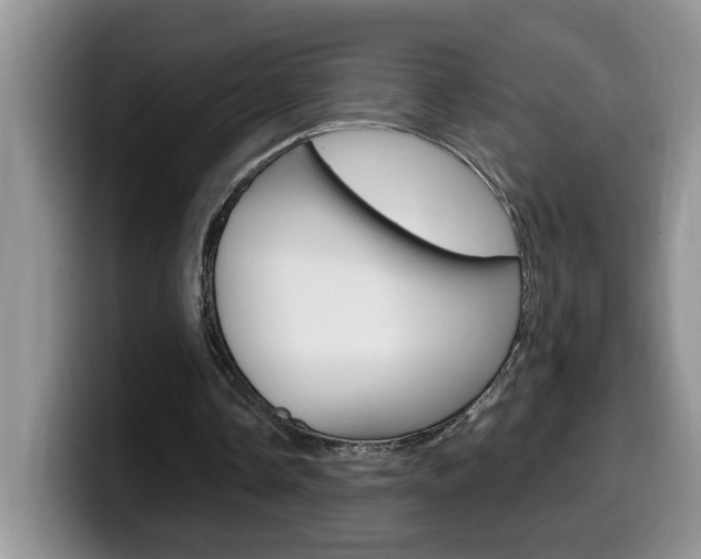 X0000100230338200805300729
