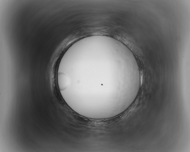 X0000100230339200805300729