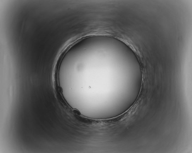 X0000100230340200805300729