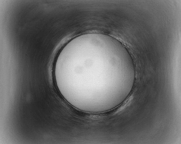 X0000100230341200805300729