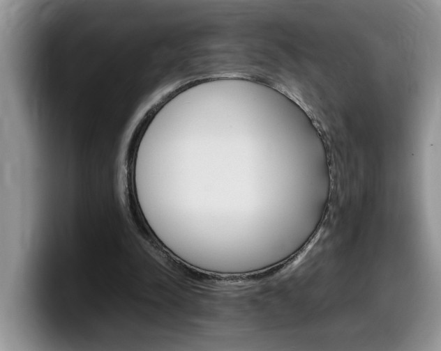 X0000100230342200805300729