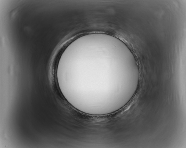 X0000100230343200805300729