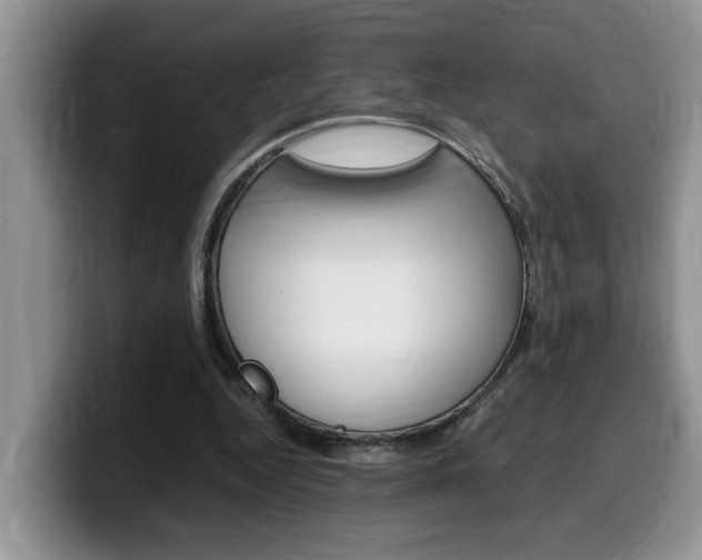 X0000100230344200805300729