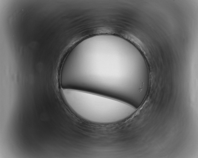 X0000100230345200805300729