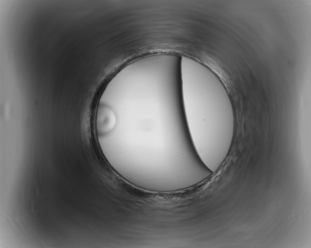 X0000100230346200805300729