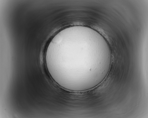 X0000100230347200805300729