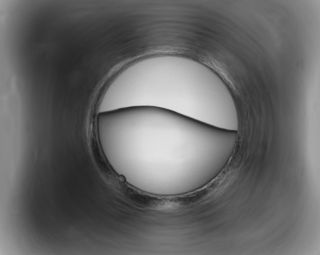 X0000100230348200805300729