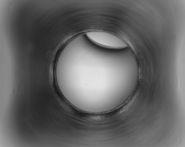 X0000100230349200805300729