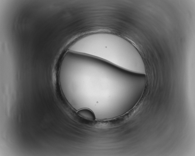 X0000100230350200805300729