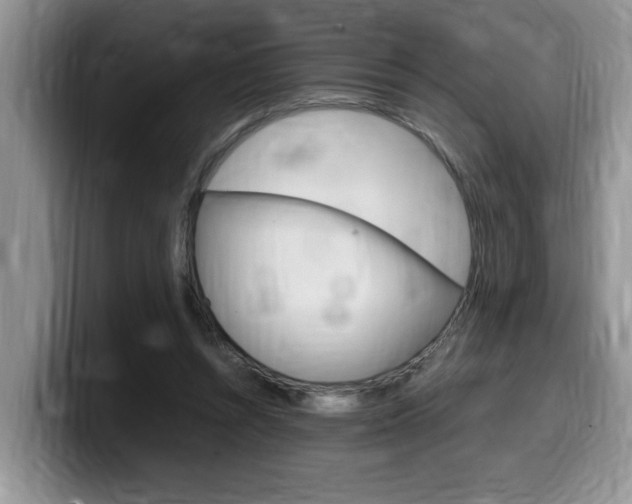 X0000100230352200805300729