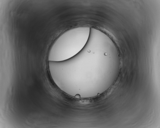 X0000100230353200805300729
