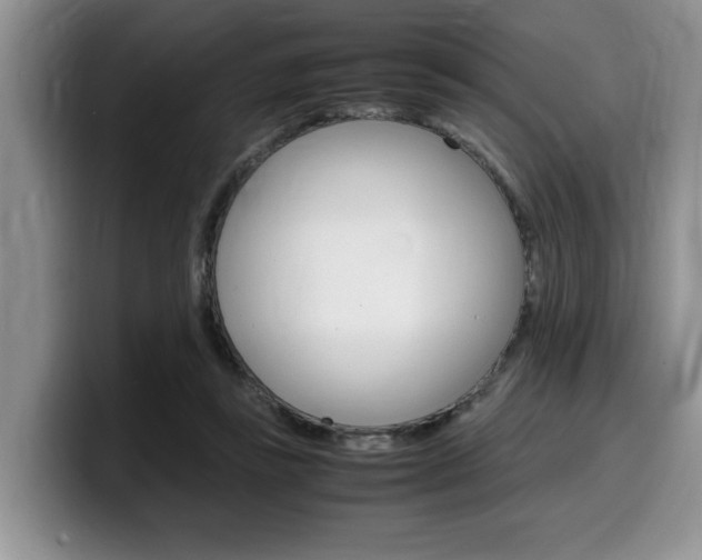 X0000100230355200805300729