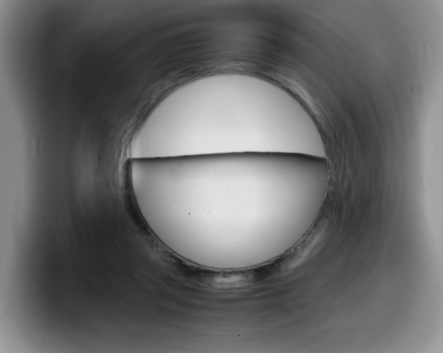 X0000100230357200805300729