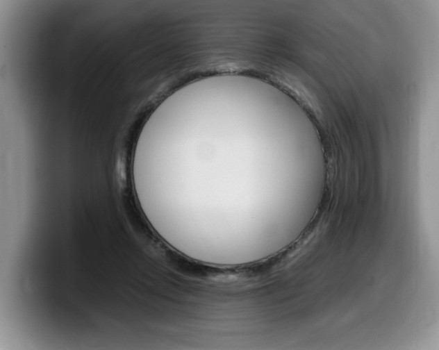 X0000100230358200805300729