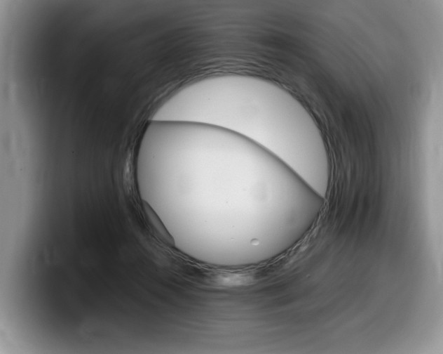 X0000100230360200805300729