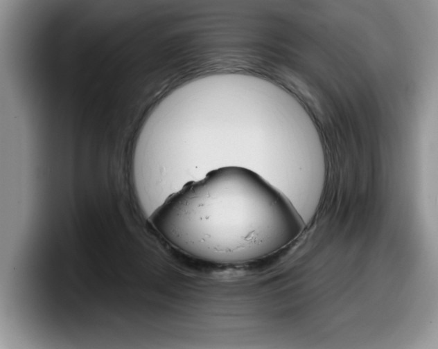 X0000100230362200805300729