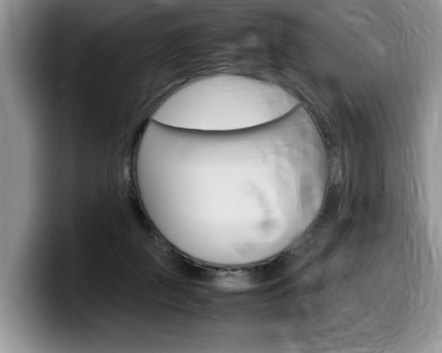 X0000100230363200805300729
