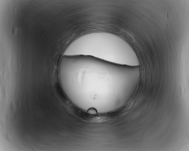 X0000100230364200805300729