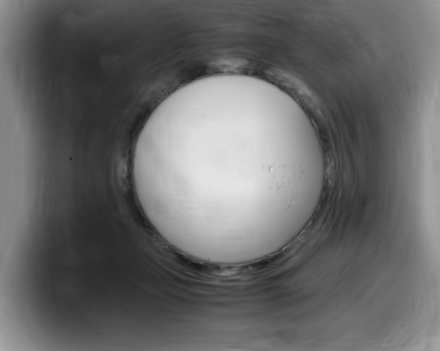 X0000100230365200805300729