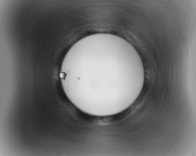 X0000100230368200805300729