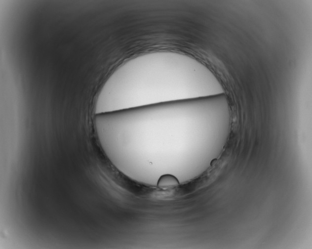 X0000100230369200805300729