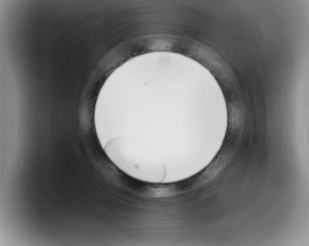 X0000100230370200805300729