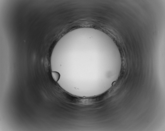 X0000100230371200805300729