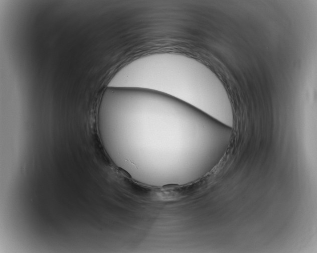 X0000100230372200805300729