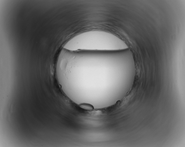 X0000100230374200805300729