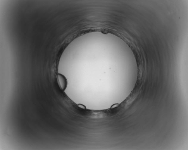 X0000100230376200805300729